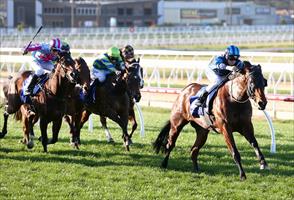 Moonlover dominates at Mornington